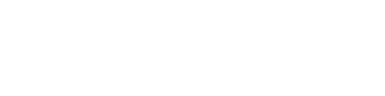 Satec